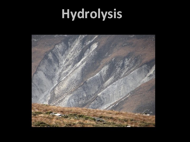 Hydrolysis 
