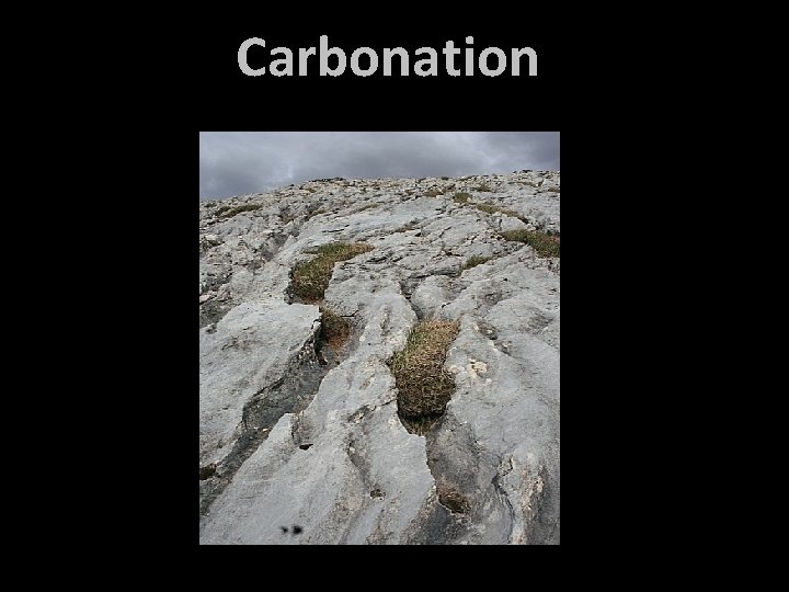Carbonation 