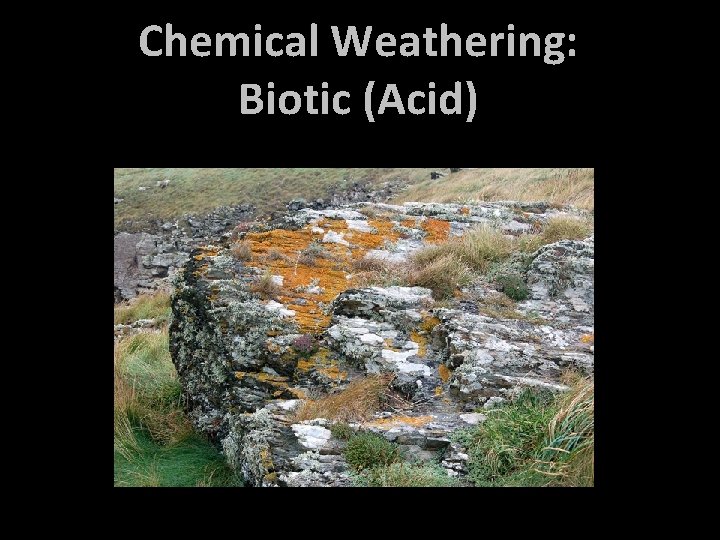 Chemical Weathering: Biotic (Acid) 