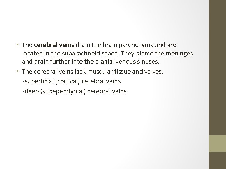  • The cerebral veins drain the brain parenchyma and are located in the