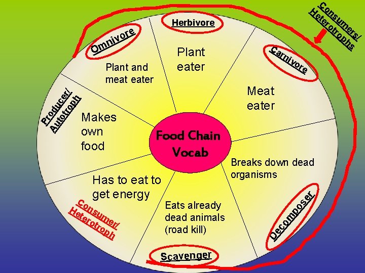 Co Herbivore re o niv Om Plant eater rn ivo re Meat eater Scavenger Co Herbivore re o niv Om Plant eater rn ivo re Meat eater Scavenger