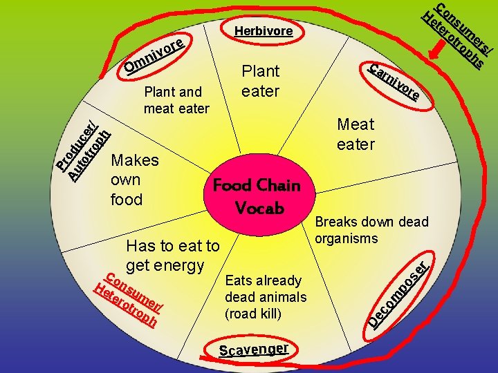 Co Herbivore re o niv Om Plant eater rn ivo re Meat eater Scavenger