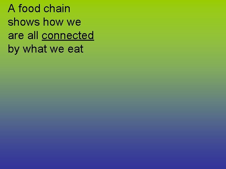 A food chain shows how we are all connected by what we eat 
