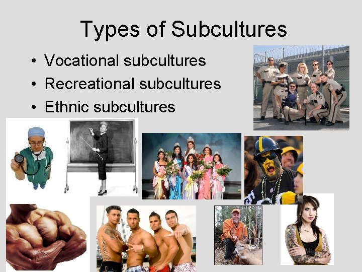 Types of Subcultures • Vocational subcultures • Recreational subcultures • Ethnic subcultures 
