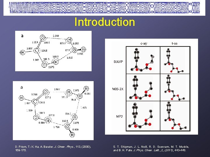 Introduction D. Priem, T. -K. Ha, A. Bauder. J. Chem. Phys. , 113, (2000),