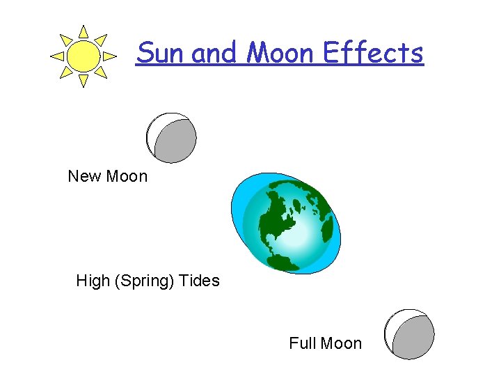 Sun and Moon Effects New Moon High (Spring) Tides Full Moon 