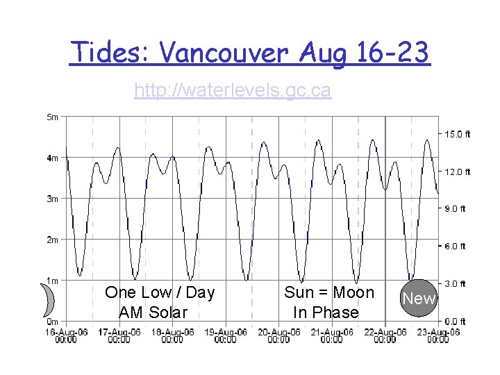 Tides: Vancouver Aug 16 -23 http: //waterlevels. gc. ca One Low / Day AM