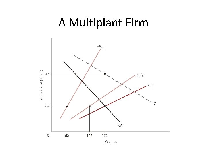 A Multiplant Firm 