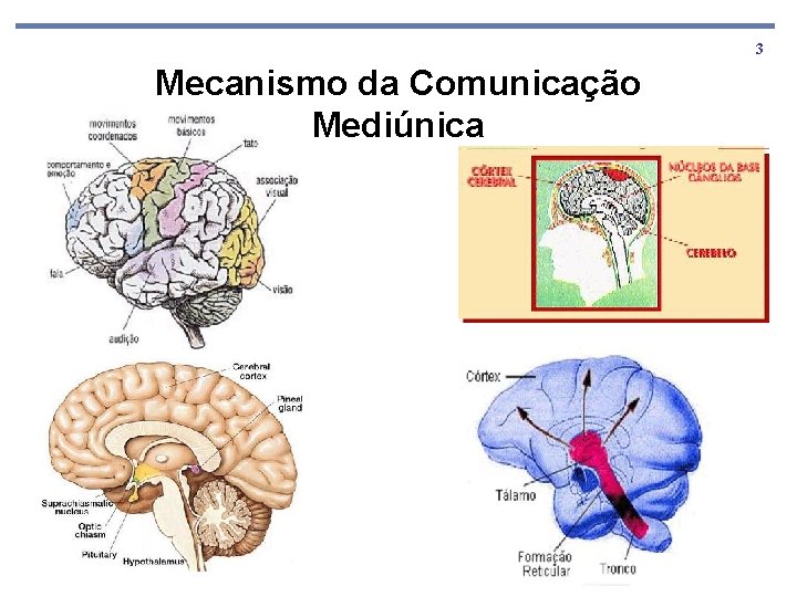 3 Mecanismo da Comunicação Mediúnica 