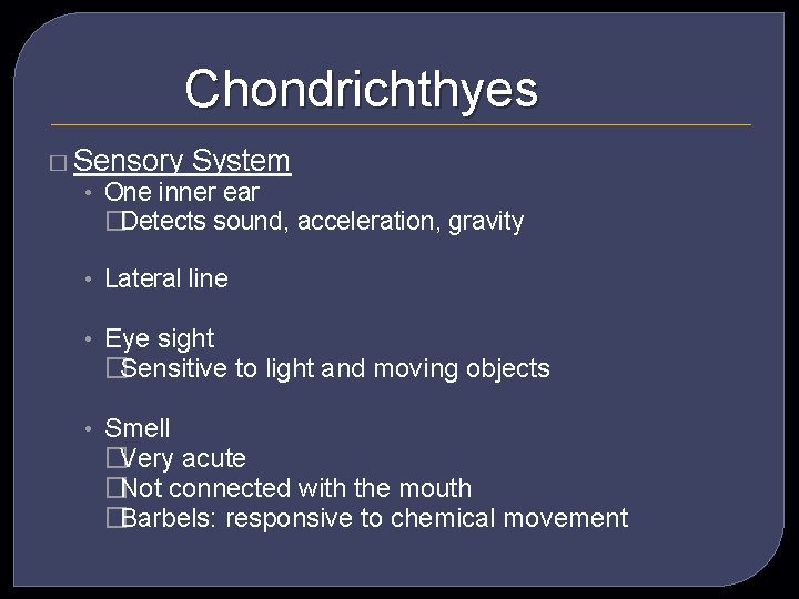 Chondrichthyes � Sensory System • One inner ear �Detects sound, acceleration, gravity • Lateral