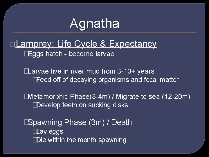Agnatha �Lamprey: Life Cycle & Expectancy �Eggs hatch - become larvae �Larvae live in