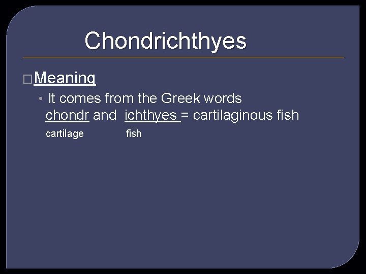 Chondrichthyes �Meaning • It comes from the Greek words chondr and ichthyes = cartilaginous