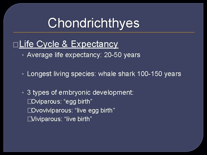 Chondrichthyes �Life Cycle & Expectancy • Average life expectancy: 20 -50 years • Longest