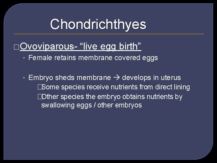 Chondrichthyes �Ovoviparous- “live egg birth” • Female retains membrane covered eggs • Embryo sheds