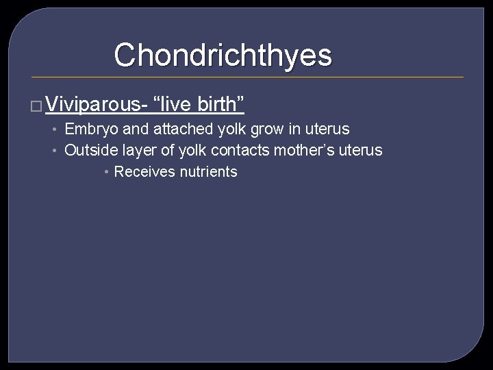 Chondrichthyes � Viviparous- “live birth” • Embryo and attached yolk grow in uterus •