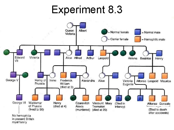 Experiment 8. 3 