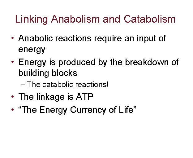 Linking Anabolism and Catabolism • Anabolic reactions require an input of energy • Energy