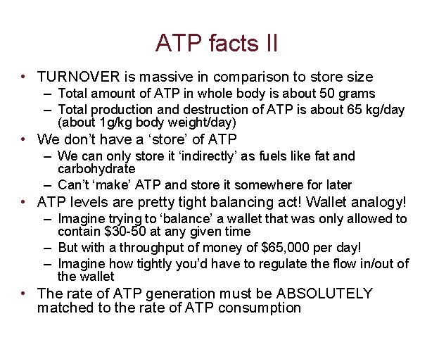 ATP facts II • TURNOVER is massive in comparison to store size – Total