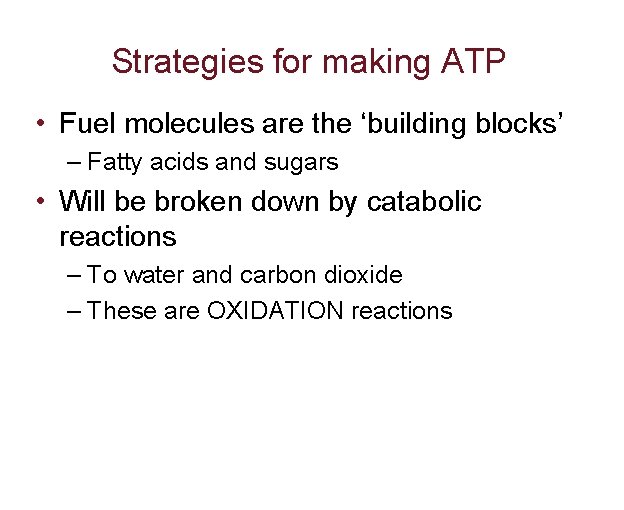 Strategies for making ATP • Fuel molecules are the ‘building blocks’ – Fatty acids