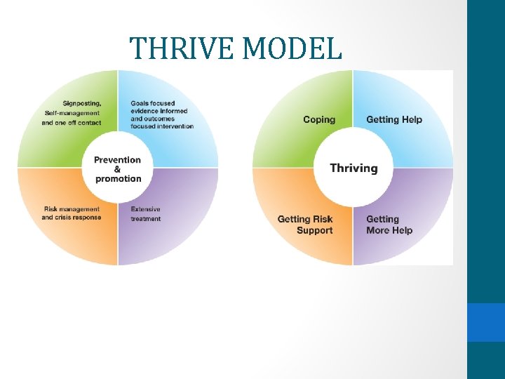 THRIVE MODEL THRIVE MODEL