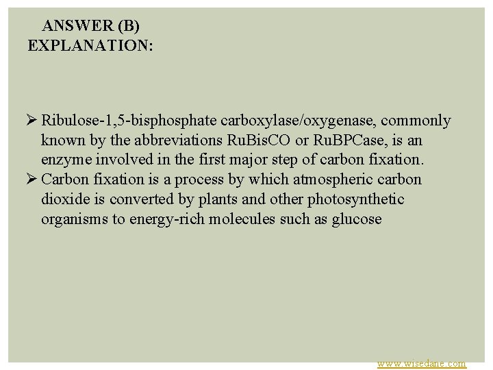 ANSWER (B) EXPLANATION: Ø Ribulose 1, 5 bisphosphate carboxylase/oxygenase, commonly known by the abbreviations