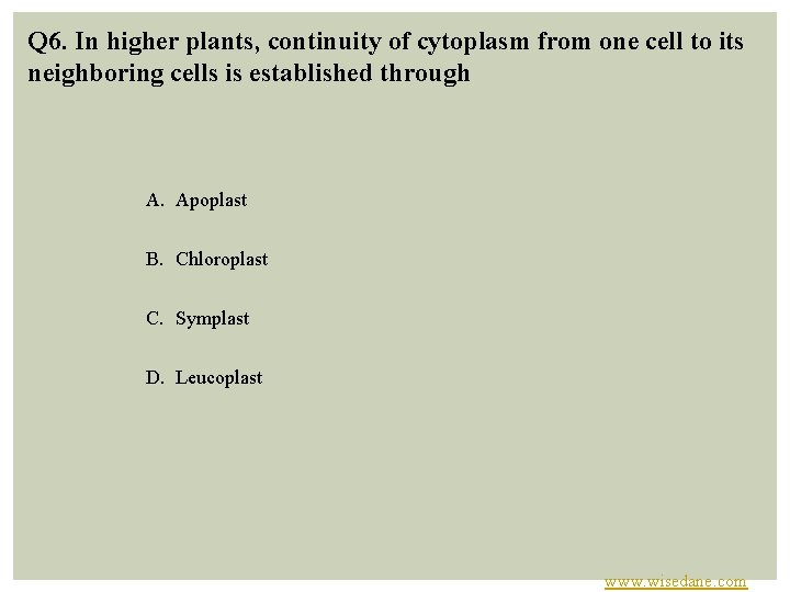 Q 6. In higher plants, continuity of cytoplasm from one cell to its neighboring