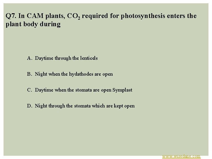 Q 7. In CAM plants, CO 2 required for photosynthesis enters the plant body