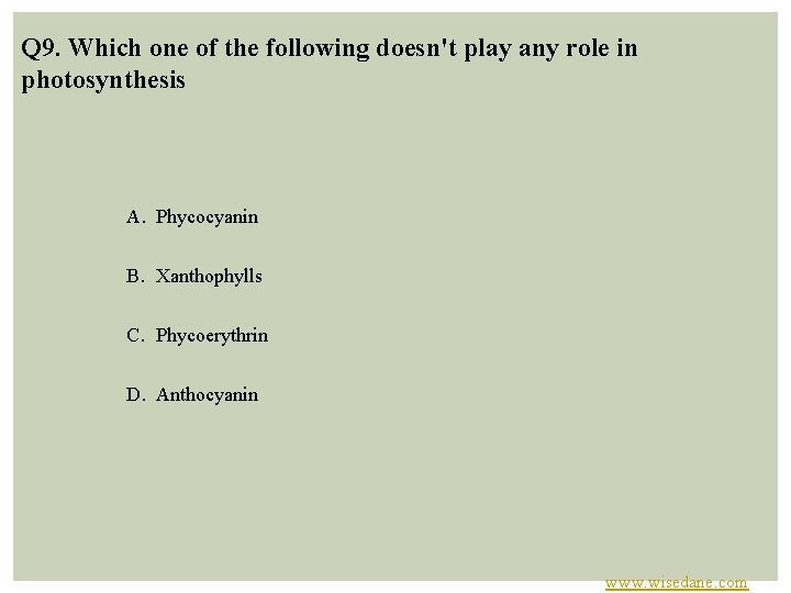 Q 9. Which one of the following doesn't play any role in photosynthesis A.