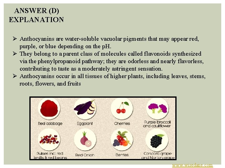 ANSWER (D) EXPLANATION Ø Anthocyanins are water soluble vacuolar pigments that may appear red,