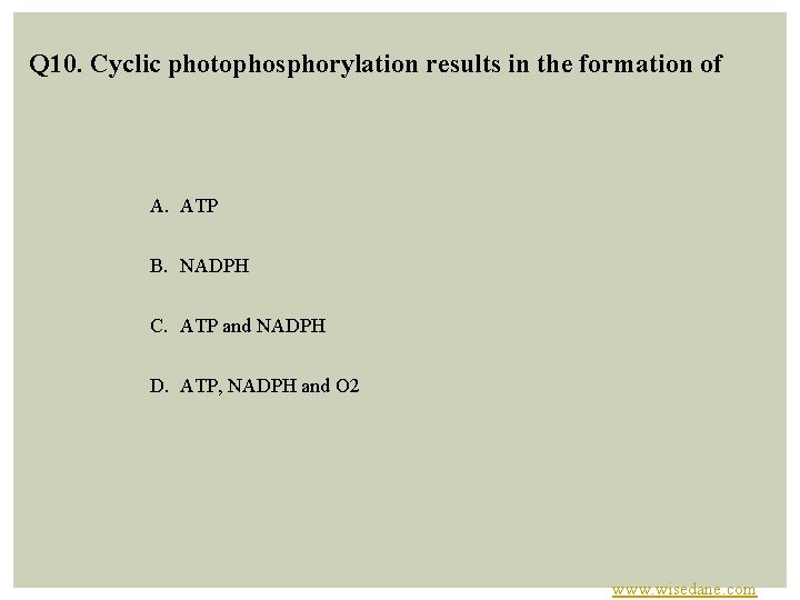 Q 10. Cyclic photophosphorylation results in the formation of A. ATP B. NADPH C.