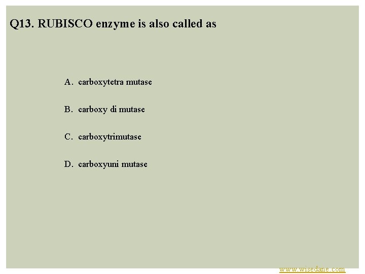 Q 13. RUBISCO enzyme is also called as A. carboxytetra mutase B. carboxy di