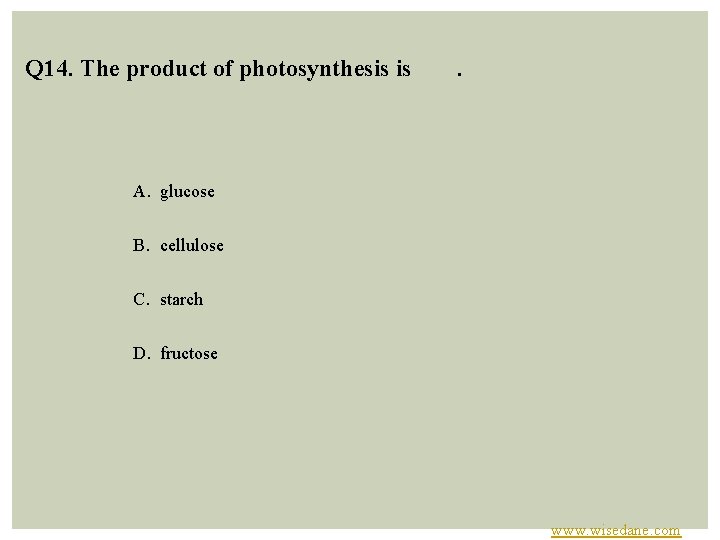 Q 14. The product of photosynthesis is . A. glucose B. cellulose C. starch