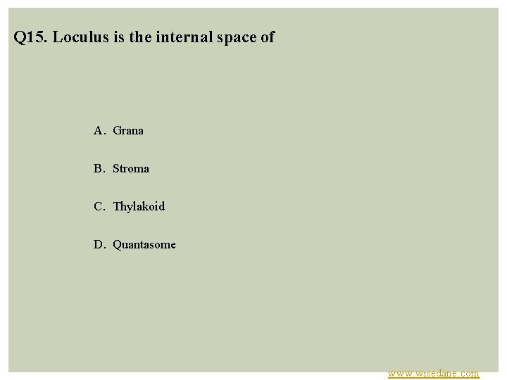 Q 15. Loculus is the internal space of A. Grana B. Stroma C. Thylakoid