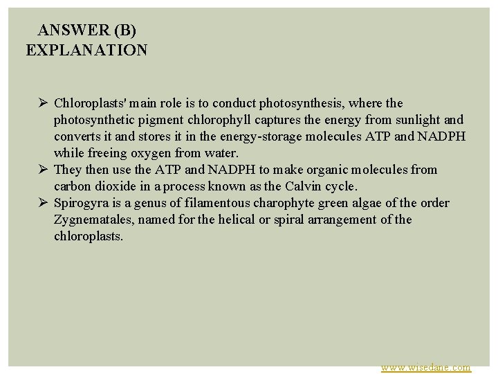 ANSWER (B) EXPLANATION Ø Chloroplasts' main role is to conduct photosynthesis, where the photosynthetic