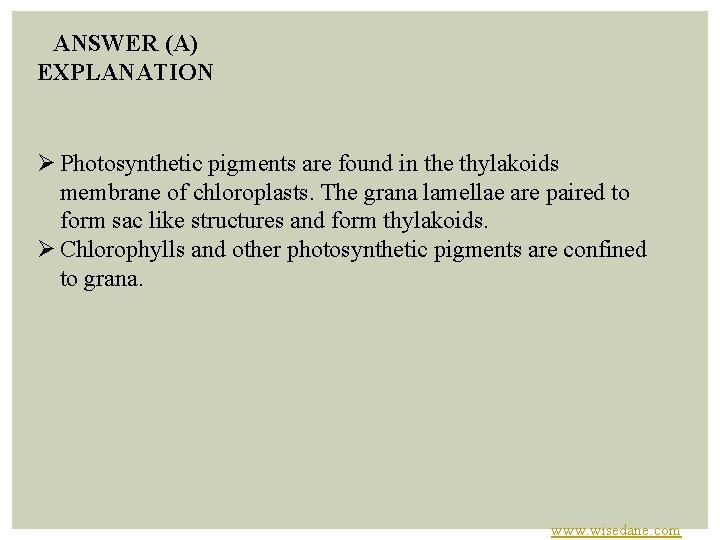 ANSWER (A) EXPLANATION Ø Photosynthetic pigments are found in the thylakoids membrane of chloroplasts.