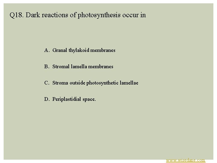 Q 18. Dark reactions of photosynthesis occur in A. Granal thylakoid membranes B. Stromal