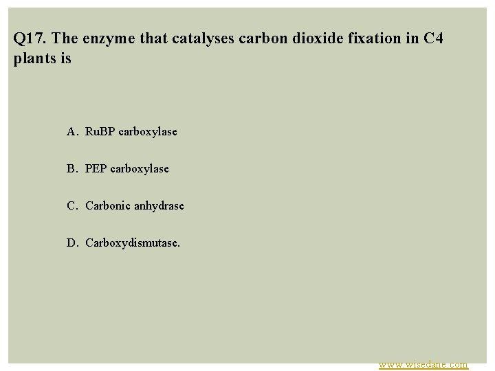 Q 17. The enzyme that catalyses carbon dioxide fixation in C 4 plants is