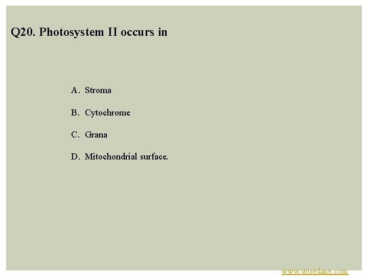 Q 20. Photosystem II occurs in A. Stroma B. Cytochrome C. Grana D. Mitochondrial