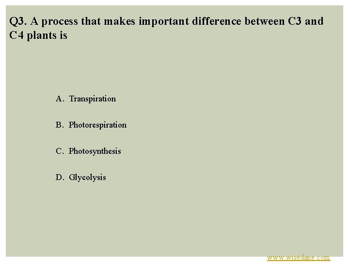 Q 3. A process that makes important difference between C 3 and C 4