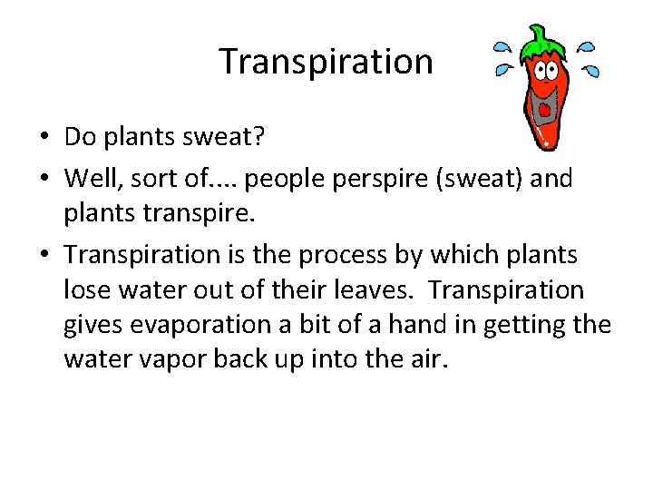 Transpiration • Do plants sweat? • Well, sort of. . people perspire (sweat) and