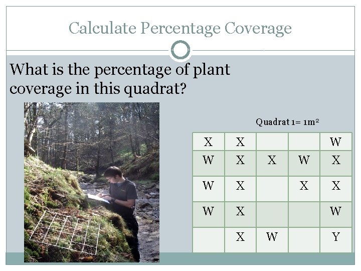 Calculate Percentage Coverage What is the percentage of plant coverage in this quadrat? Quadrat
