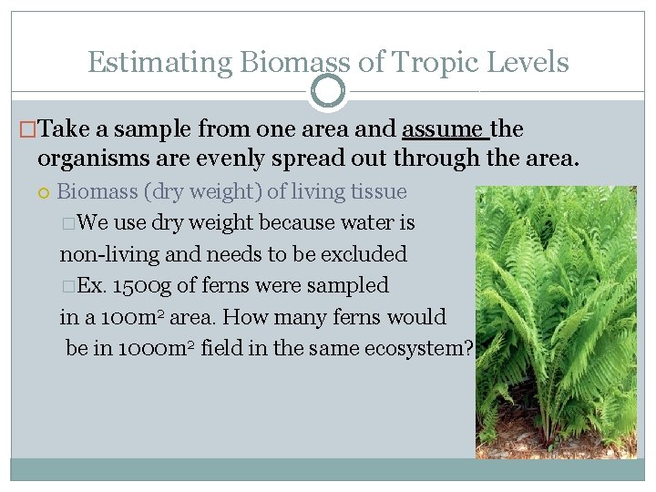 Estimating Biomass of Tropic Levels �Take a sample from one area and assume the