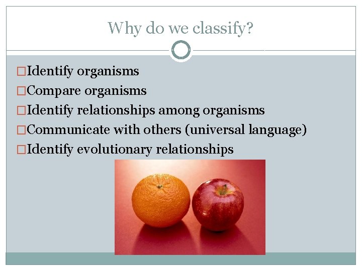 Why do we classify? �Identify organisms �Compare organisms �Identify relationships among organisms �Communicate with