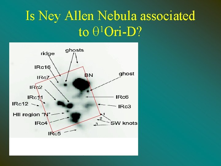Is Ney Allen Nebula associated to q 1 Ori-D? 