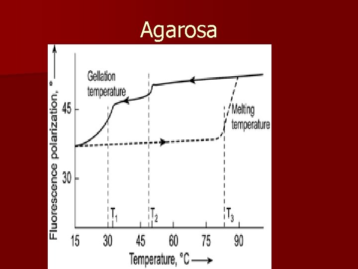 Agarosa 