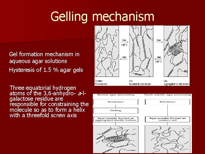 Gelling mechanism Gel formation mechanism in aqueous agar solutions Hysteresis of 1. 5 %