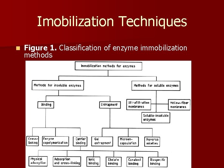 Imobilization Techniques n Figure 1. Classification of enzyme immobilization methods 