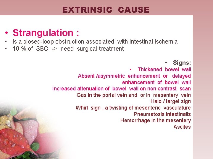 EXTRINSIC CAUSE • Strangulation : • is a closed-loop obstruction associated with intestinal ischemia