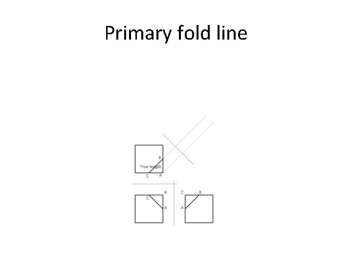 Primary fold line 