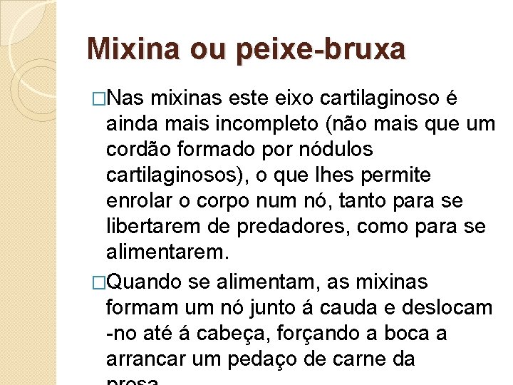 Mixina ou peixe-bruxa �Nas mixinas este eixo cartilaginoso é ainda mais incompleto (não mais